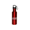 Aluminum 28 Oz Sports Bottle